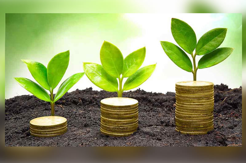 Borrow - Loan Company Website Template 